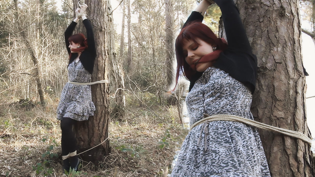 Abandoned In The Woods