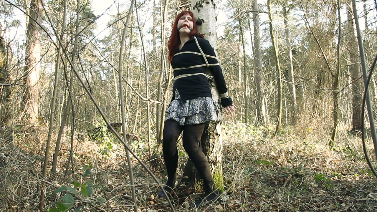 Stuck In The Woods