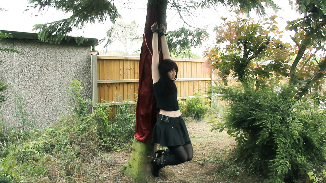 Hanging From Tree
